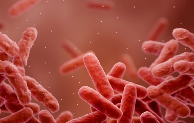 L'antibiorésistance, une bombe sanitaire silencieuse