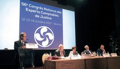 La responsabilité civile professionnelle : l’enjeu des experts-comptables de justice