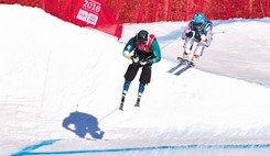 Fédération internationale de ski - Le recours à l’arbitrage international repose sur le principe du consensualisme