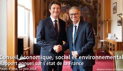 Conseil économique, social et environnemental  - Rapport annuel sur l'état de la France 