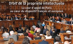 Droit de la propriété intellectuelle - La cour d’appel de Paris au coeur du dispositif français et européen