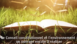 Le Conseil constitutionnel et l’environnement : un ouvrage encore à réaliser
