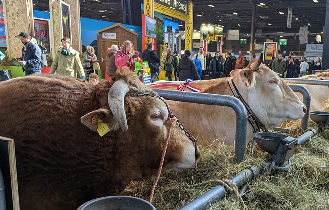 Salon international de l’agriculture : les agriculteurs au défi de la transmission des exploitations