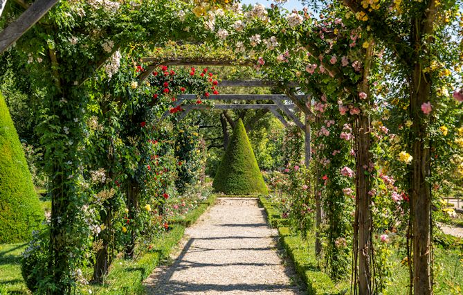 (75) Ce printemps, (re)découvrez le jardin botanique de Paris