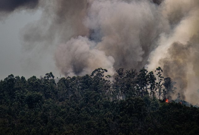 (78) Des moyens supplémentaires pour lutter contre les feux de forêts dans les Yvelines